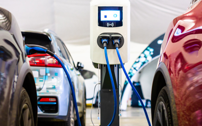 Shutterstock 1598078002