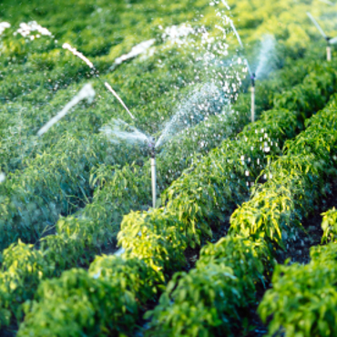 Water Irrigation 2 1